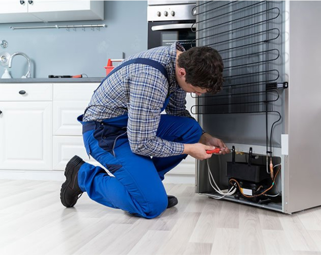 Fridge Repair